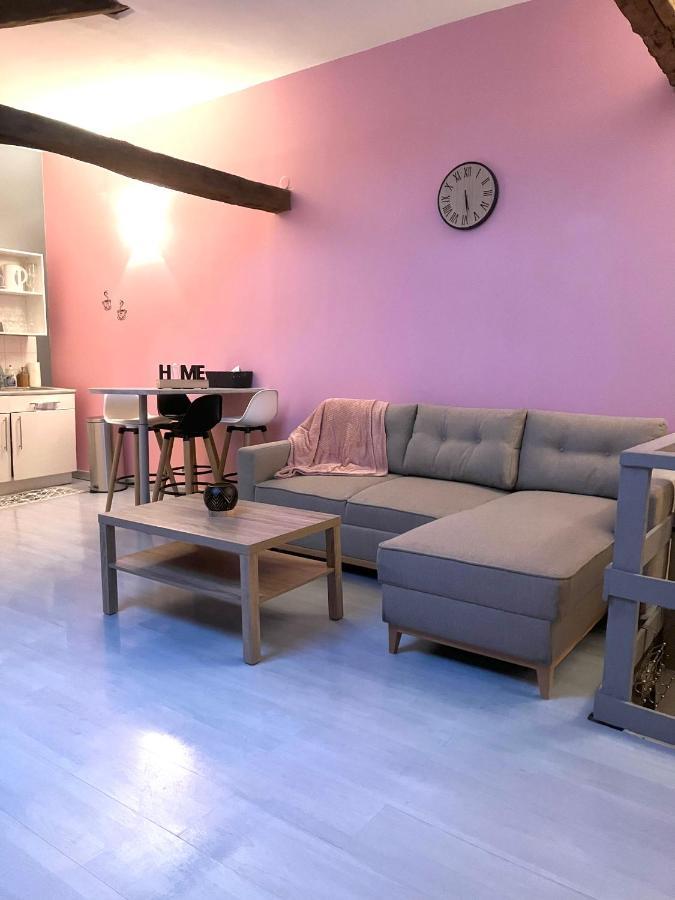 Chablis: Grand Studio En Plein Centre Ville Kültér fotó